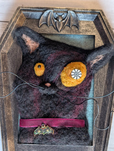 Stop Kitten around with this one.